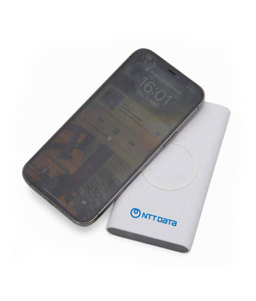 Power Bank - TheCompanyStore